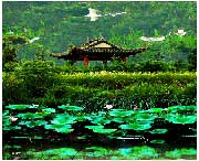 蔡甸天气预报10天